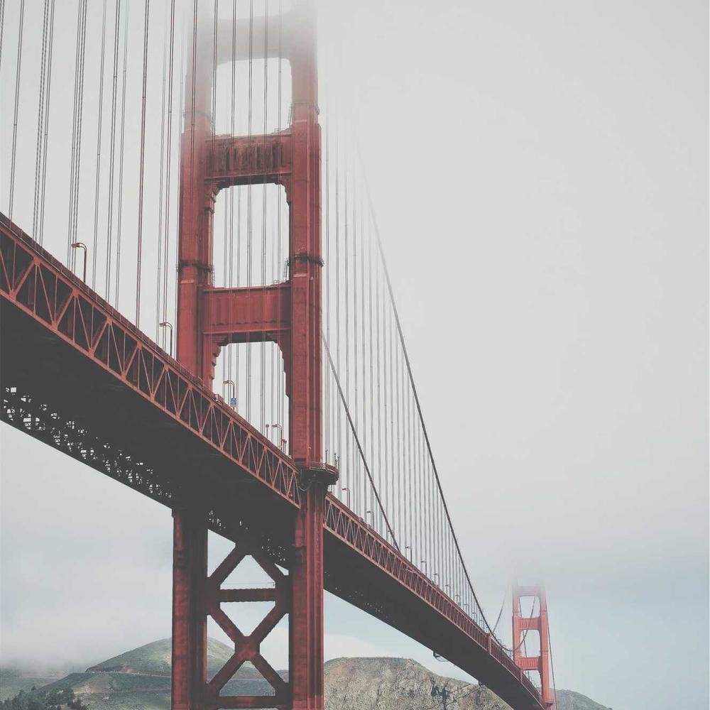 Google Ads Management Services